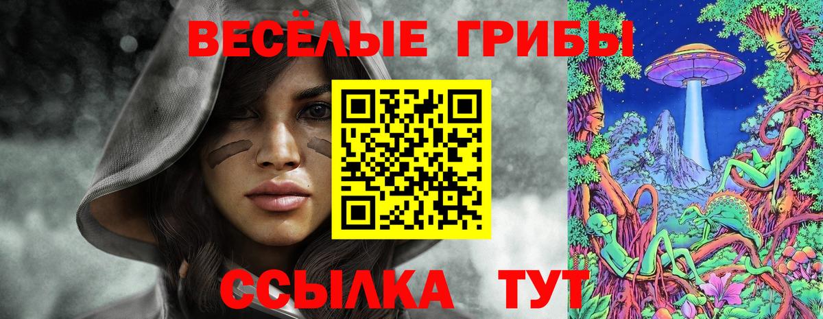 Псилоцибиновые грибы Psilocybe Ленинск-Кузнецкий